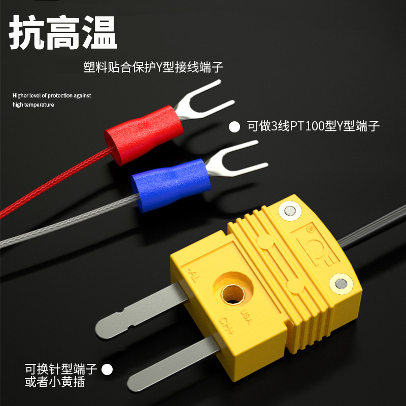 鎧裝溫度傳感器18_http://m.tynrsq.com.cn_溫度儀表_第4張